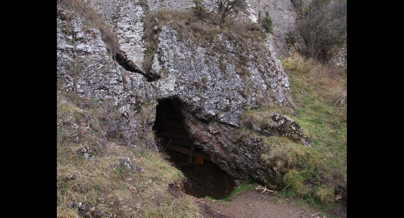 Autorstwa Jerzy Opioła - Praca własna, CC BY-SA 4.0