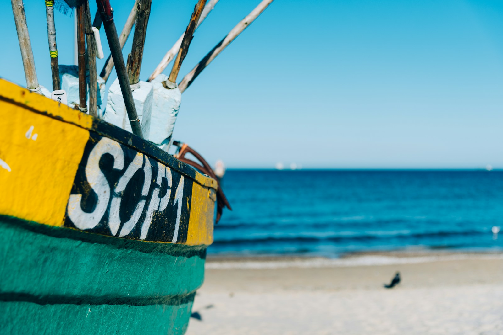 Photo by Kamil Molendys/unsplash