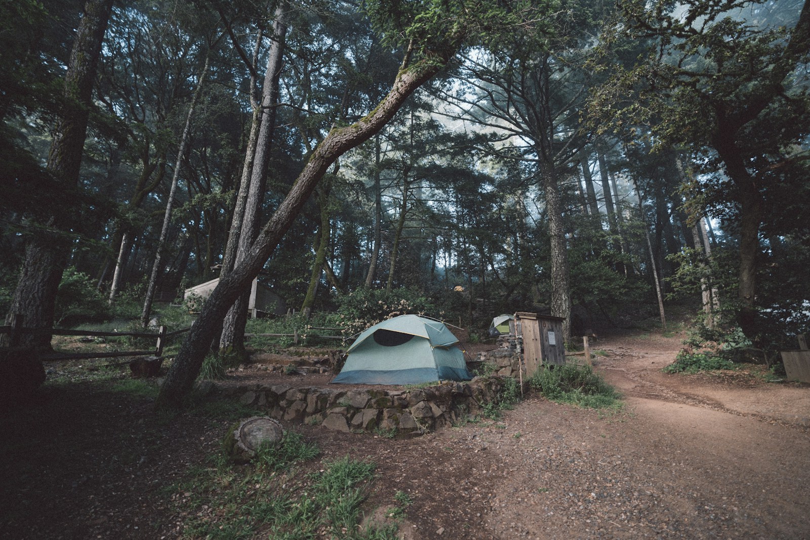 Photo by Kevin Wolf/Unsplash