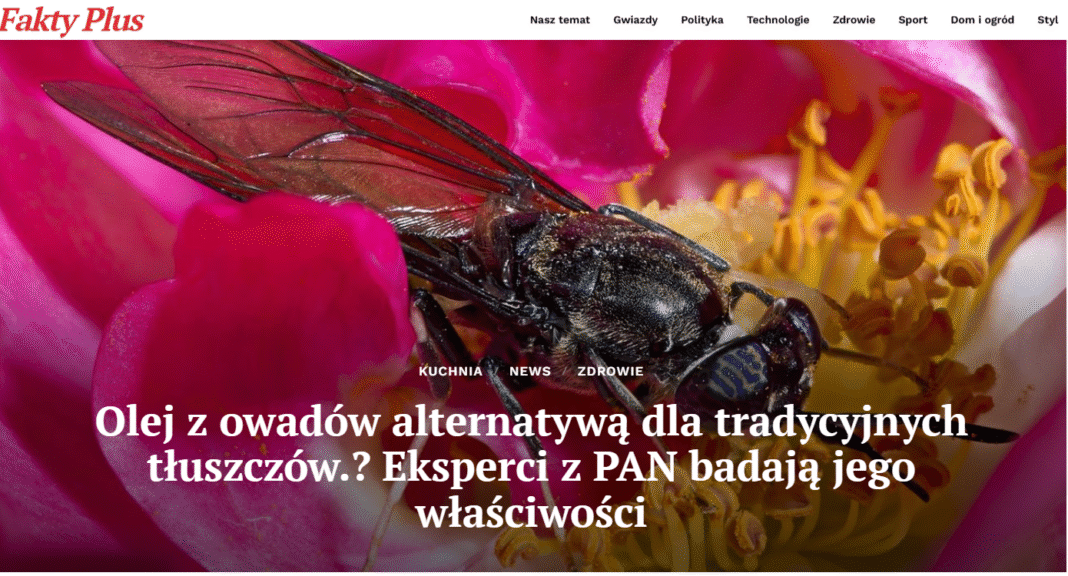 Pan Olej z owadów może zastąpić tradycyjne tłuszcze