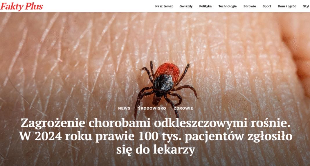 Choroby odkleszczowe 2025 – borelioza i dane NFZ