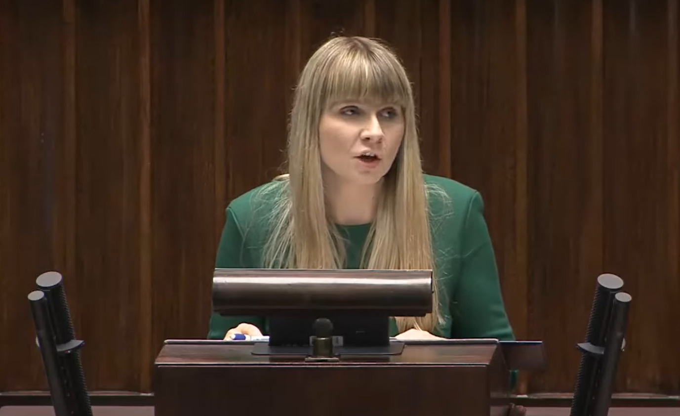 Rzeczniczka Praw Dziecka Monika Horna-Cieślak/youtube - Janusz Jaskółka