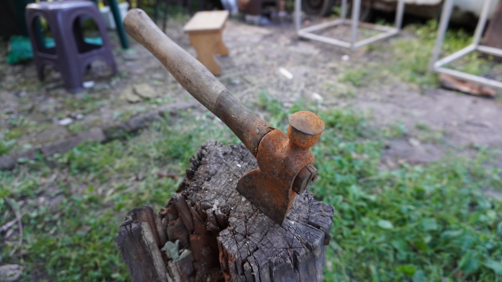 siekiera wbita w pieniek/ fot: Oleg Devyatka/Unsplash